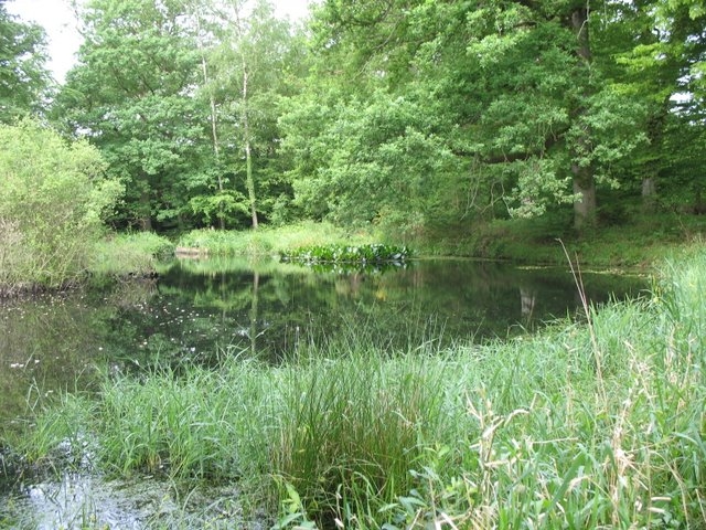 Suivi milieu 13 mai 2007 PDH 057